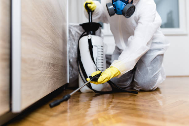 Professional Pest Control in Herald Harbor, MD