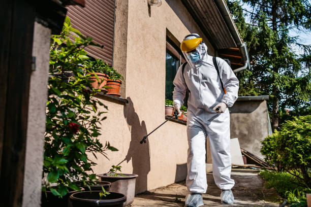 Best Best Pest Control Companies  in Herald Harbor, MD