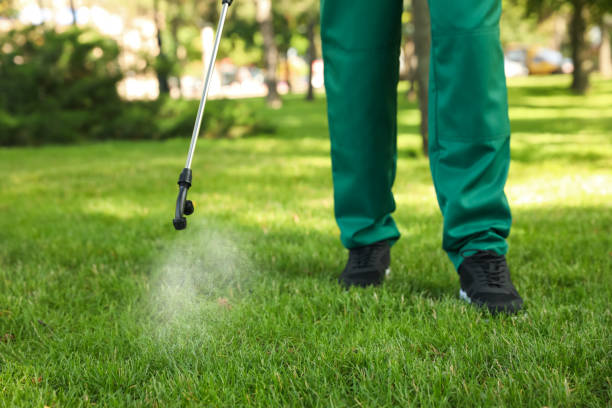 Best Bed Bug Extermination  in Herald Harbor, MD