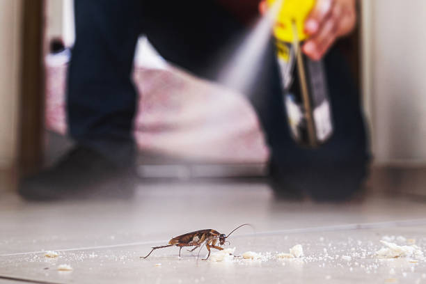 Best Pest Prevention Services  in Herald Harbor, MD
